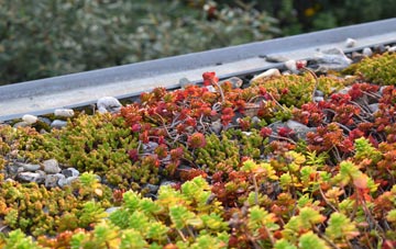 the cost of South Kiscadale green roof installation