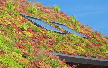 South Kiscadale living roof systems