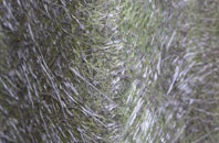 South Kiscadale fibreglass roof work