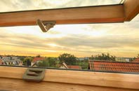 rated South Kiscadale roof window companies